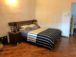 Shamrock Park (D10), Semi-Detached #390643981